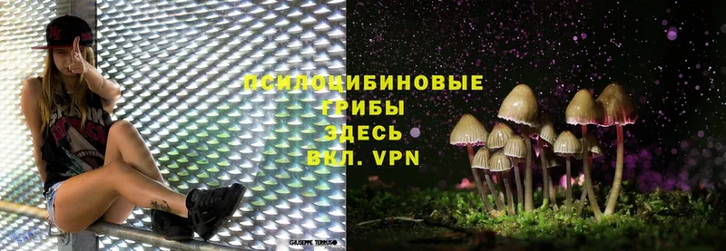 МЕГА сайт  Красный Сулин  Псилоцибиновые грибы MAGIC MUSHROOMS 